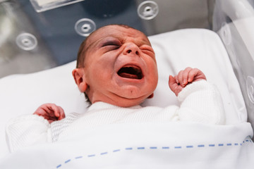 niño en incubadora recién nacido, bebé de un día llorando en el hospital. - obrazy, fototapety, plakaty