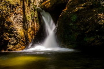 Obraz premium Waterfall in a small river of Atlantic Forest bioma, Rio de Janeiro, Brazil