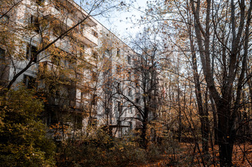 abandoned house among the trees in Chernobyl