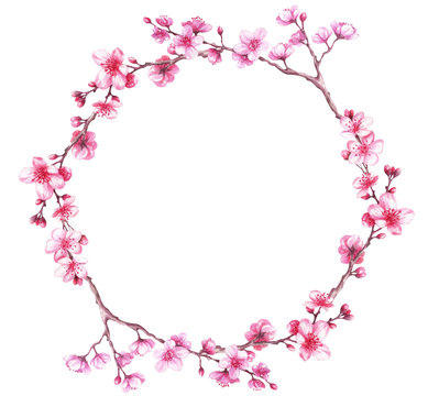  Watercolor frame wreath with cherry blossoms. Sakura.