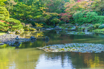 Seattle Garden In Autumn 6