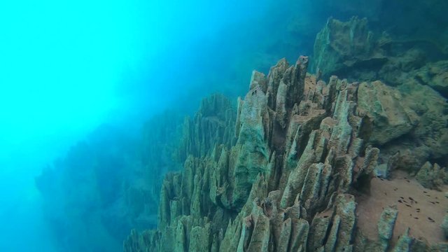 The underwater mountain below the hot spring, the different density of hot and cold water makes the vision blurry. Barracuda Lake, Coron, Philippines.