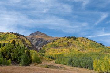 Landscape of hillside covered in turning aspen trees along the Million Dollar Highway in the San Juan Mountains of Colorado
