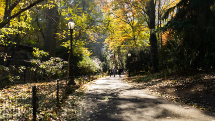 The tranquil path 10