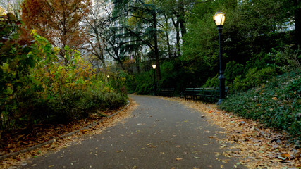 Fototapeta premium The tranquil path 3