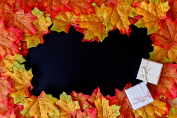 maple leaf and free space for text with black background.