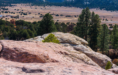 Low angle landscape of trees and rock formations at El Morro National Monument in New Mexico