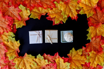 maple leaf and mini gift box with black background.