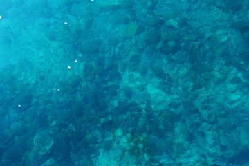 Fototapeta na wymiar photo of the seabed with pebbles through clear water. surface as background