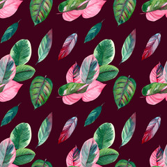 Pink and green tropical leaves, Caladium, ficus, Caladium. Seamless pattern, watercolor illustration