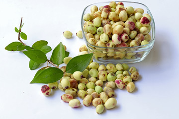 Blueberries ( Vaccinium myrtillus )