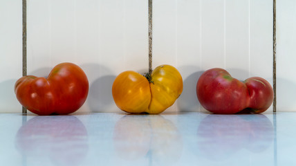 Three ugly Siamese twins tomatoes on the light background