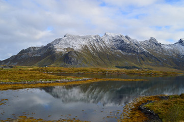 Fototapeta premium Lofoten
