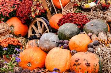 Ripe harvest, colorful harvested vegetables at the street market, organic vegan food for sale