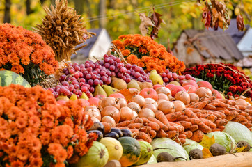 Ripe harvest, colorful harvested vegetables at the street market, organic vegan food for sale