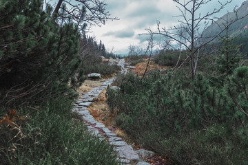 stone trail to the horizon