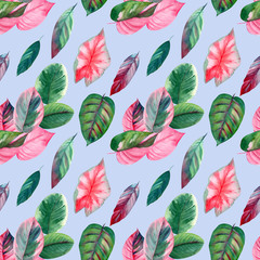 Pink and green tropical leaves, Caladium, ficus, Caladium. Seamless pattern, watercolor illustration