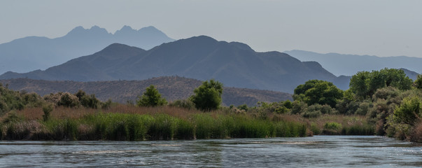 Salt River