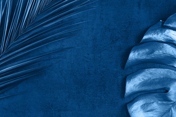 Closeup of trendy classic blue colored monstera and palm leaf on blue background. Tropical luxury minimal summer background. Flat lay. Copy space. 2020 color of the year