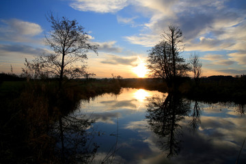 Landschaft mit Bach im Abendlicht, Bayern, Deutschland, Europa