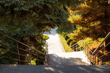 The stairs are stone steps down, the shadows from the trees in autumn, urban environment.