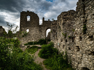 Fototapeta na wymiar Ruine Ehrenberg