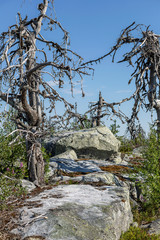 Mountain Vottovaara in Karelia, Russia