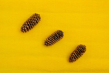 Fir cones lie on a yellow background.