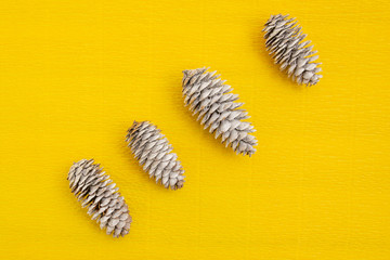 Fir cones lie on a yellow background.