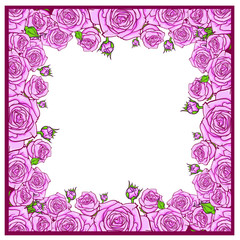 Beautiful frame with pink roses, vector illustration isolated on white background