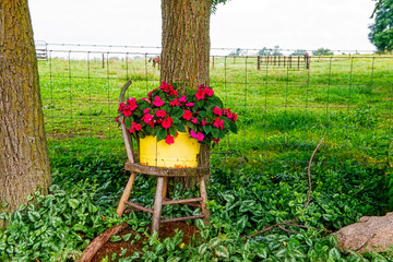 Flowers in Yellow Container on Old Chair