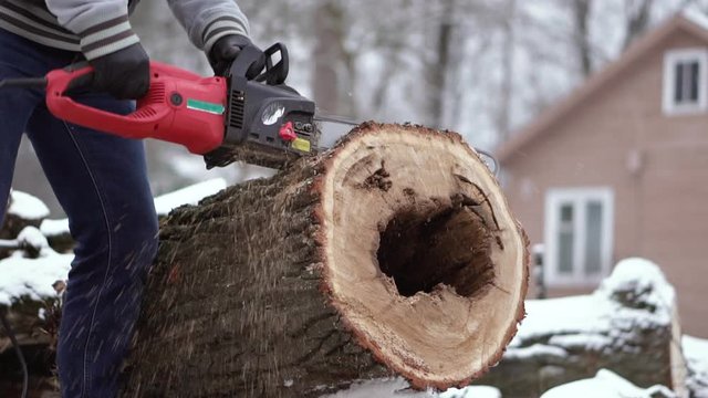 A man is sawing a fallen oak tree outside with a chainsaw in winter. Close-up. Wood for the construction and manufacture of furniture and building materials. Building tools