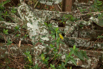 Old Farm equipment outdoors rusting