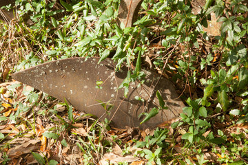 Old Farm equipment outdoors rusting