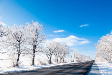 Winter road with snow-covered trees and blue sky. Beautiful winter landscape.