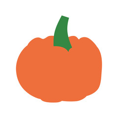 Pumpkin on white background