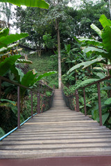 Beautiful pathway of a wooden bridge with steel structure.