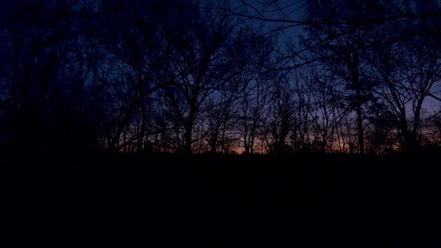 Panning across a dark sunrise in a forest
