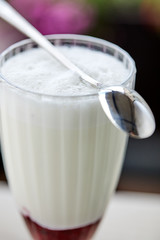 milk dessert with fresh berries