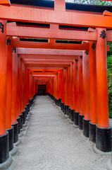 Japan - Kyoto - sanctuary of Fushimi Inari-Taisha