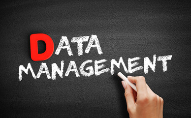 Data Management text on blackboard, business concept background