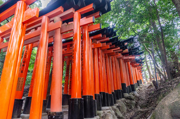 Japan - Kyoto - sanctuary of Fushimi Inari-Taisha
