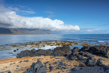 the only red beach in Iceland is the beach of Budir, covered from black volcanic rocks, landscape...
