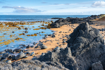 the only red beach in Iceland is the beach of Budir, covered from black volcanic rocks, landscape...