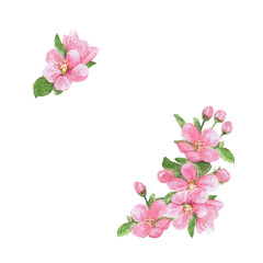 Watercolor illustration, postcard, frame with spring flowers, space for text, cute, delicate, romantic, pink, green on white background.