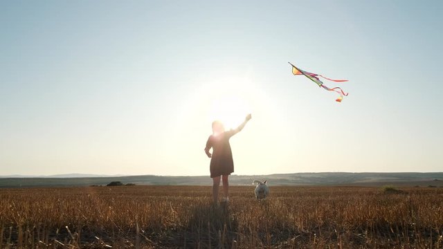 Slow Motion Of A Silhouette Of A Young Woman Walking In A Field Developing Curly Hair Of A Dog Breed Jack Russell Terrier In The Wind With A Kite Towards The Sun At Sunset In Summer. Relax. Lens Flare