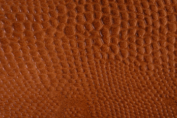 leather texture of a skin