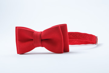 Red bow tie on a white background