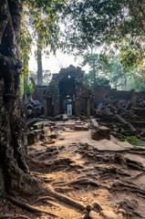 Ta Prohm Temple Causeway