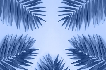 Fototapeta na wymiar Fern leaves on a plain color classic blue background.